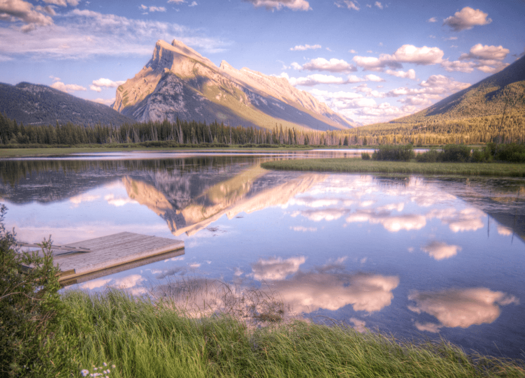 image credit: taylor mcbride (modified image)