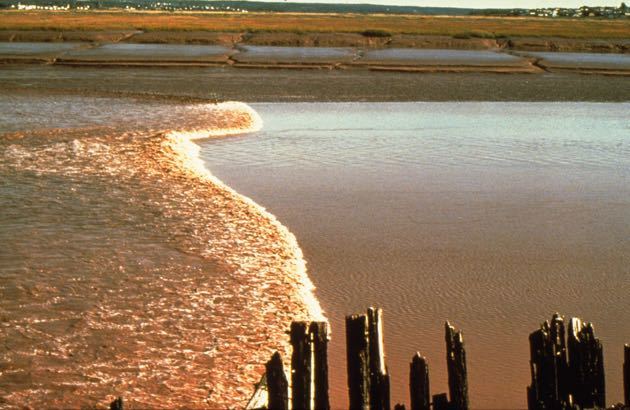 Family Attractions Moncton Watch Tidal Bore Moncton