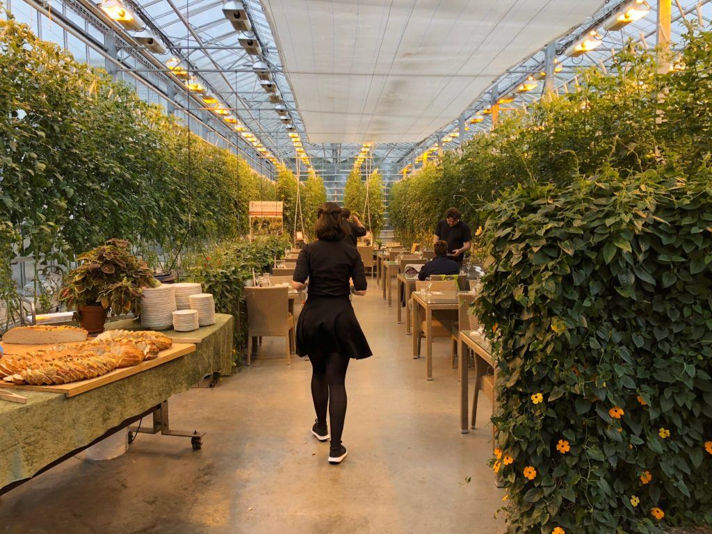Friðheimar Tomato Greenhouse Iceland Friðheimar Tomato Greenhouse Iceland