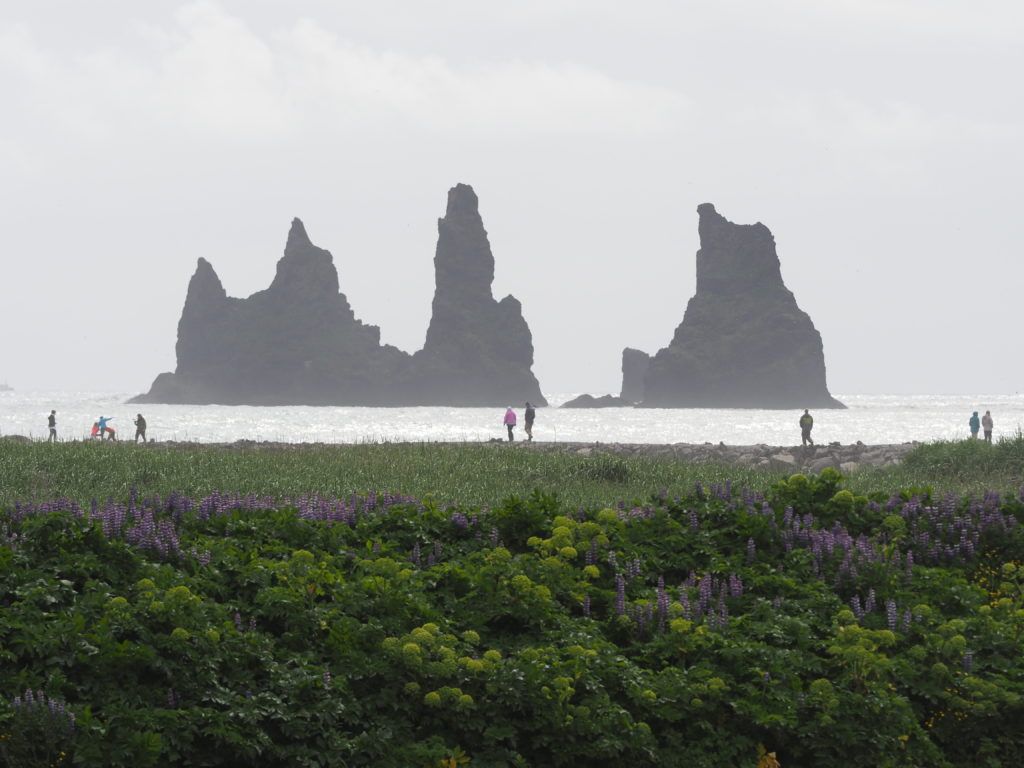 Reynisfjara Beach Iceland Black Sand Beach Iceland